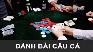 Lập kế hoạch đánh bài câu cá chi tiết nhất